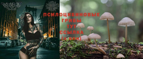 твердый Нея